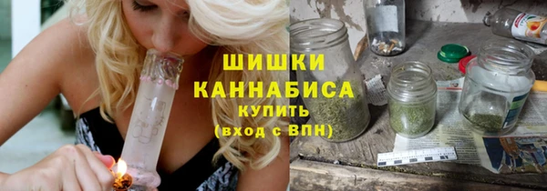 прущие грибы Богородск